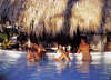 Paradisus Punta Cana 